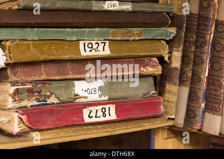 I libri sugli scaffali Foto Stock