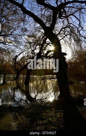 Inondazioni in Bedford, il grande fiume Ouse. Foto Stock