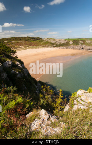 La bassa marea e la spiaggia di sabbia a Barafundle Bay, Pembrokeshire Foto Stock