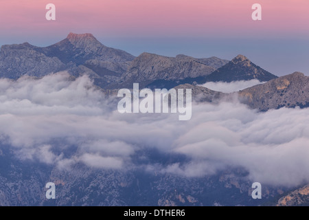 Montagne Tramuntana immersa nella foschia al tramonto. Puig de Massanella e l'Re. Area di Sóller, Maiorca, isole Baleari, Spagna Foto Stock