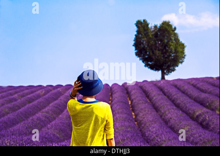 L'Europa, Francia, Alpes-de-Haute-Provence, 04. Turista nella parte anteriore di un campo di lavanda. Foto Stock