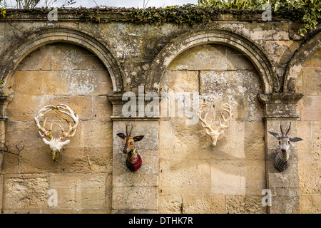 Fauxidermy tassidermia animali animali fatti a mano le creature decorative Foto Stock