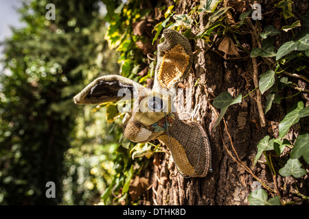 Fauxidermy tassidermia animali animali fatti a mano le creature decorative Foto Stock