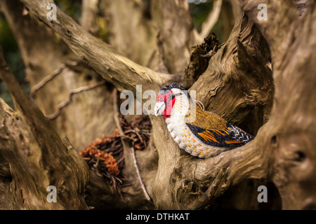 Fauxidermy tassidermia animali animali fatti a mano le creature decorative Foto Stock