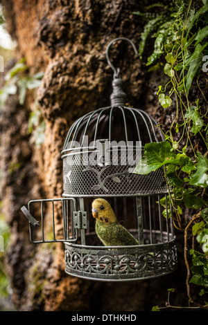 Fauxidermy tassidermia animali animali fatti a mano le creature decorative Foto Stock