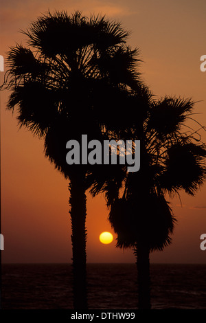 Palm tramonto, San Juan Capistrano, California Foto Stock