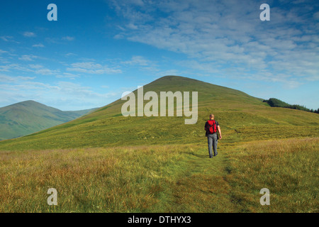 Un camminatore su Beinn Dubh, Luss colline, Loch Lomond e il Trossachs National Park, Argyll & Bute Foto Stock