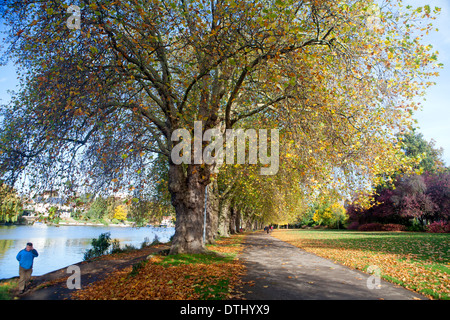 Percorso lungo il Tamigi a Kingston Upon Thames Foto Stock