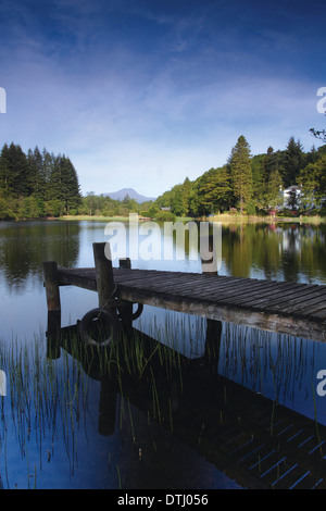 Ben Lomond da Loch Ard all'alba, vicino Aberfoyle, Loch Lomond e il Trossachs National Park Foto Stock