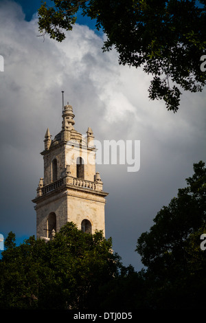 Mérida Yucatán, méxico san ildefonso cattedrale Foto Stock