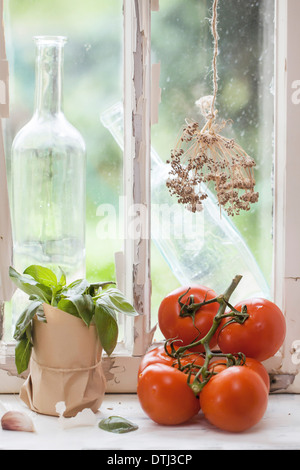 Pomodori freschi, oldfashion bottiglie, aneto e basilico sul davanzale vecchio Foto Stock