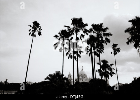 Victoria Memorial in Kolkata Calcutta nel Bengala Occidentale in India in Asia del Sud. Storico di storia Palm Tree alberi Cultura Paesaggio PAESAGGIO viaggio Arte Foto Stock