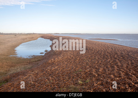 Spiaggia di ciottoli e laguna a nord Weir Point, strada di ciottoli, Suffolk, Inghilterra Foto Stock