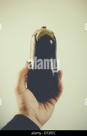 Una mano d'uomo tenendo un organico di melanzane o impianto uovo. Instagram post filtro di produzione Foto Stock