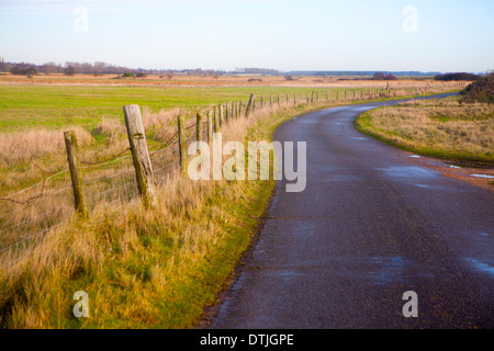 Avvolgimento stretto paese su strada asfaltata che conduce nella distanza a Shingle Street, Hollesley, Suffolk, Inghilterra Foto Stock