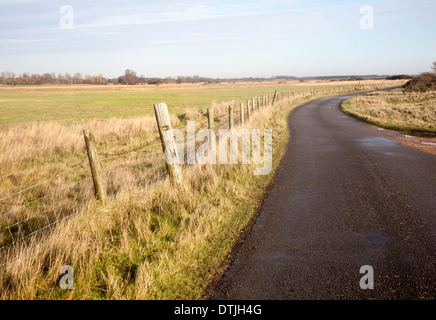 Avvolgimento stretto paese su strada asfaltata che conduce nella distanza a Shingle Street, Hollesley, Suffolk, Inghilterra Foto Stock