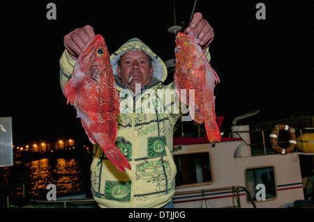 Fisherman trattiene grandi scalate scorfani (Scorpaena scrofa) e ventre nero rosefish (Helicolenus dactylopterus) Foto Stock