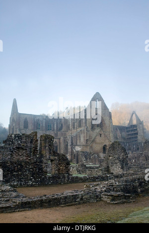 Abbazia di Tintern. Foto Stock