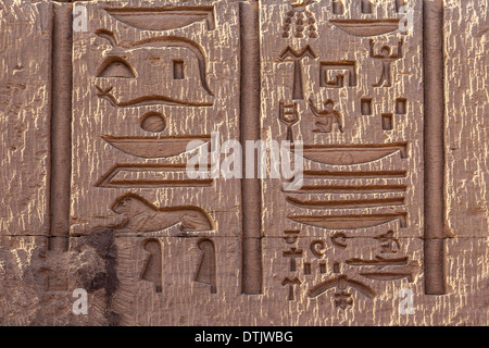 Bassorilievo geroglifica incisioni su una parete dell'antico tempio Egizio a Kom Ombo. Foto Stock