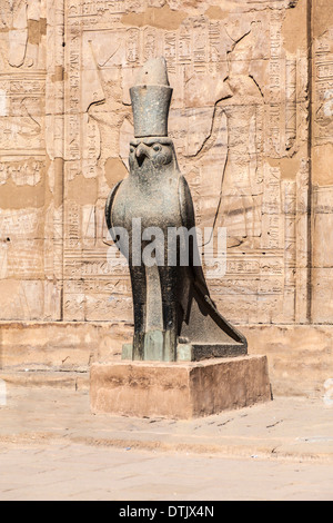 La statua in granito del Falcon-intitolata dio Horus presso gli antichi egiziani Tempio di Horus in Edfu. Foto Stock