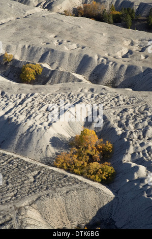 Earnscleugh storica Gold dragare il recupero, e in Autunno Gli alberi di salice, nelle vicinanze Alexandra di Central Otago, South Island, in Nuova Zelanda - Foto Stock