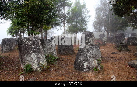 Pietra megalitico di urne cinerarie in Laos alla Pianura di giare il sito 3 Foto Stock