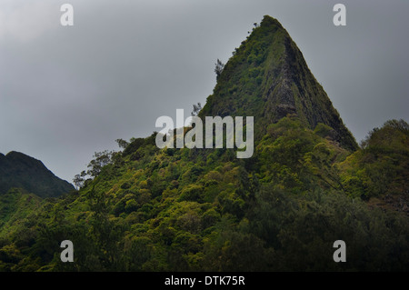 Vista dal dai Pali Lookout, Oahu, Hawaii Foto Stock