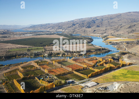 Frutteti e vigneti e del Lago Dunstan, Bannockburn, vicino a Cromwell di Central Otago, South Island, in Nuova Zelanda - aerial Foto Stock