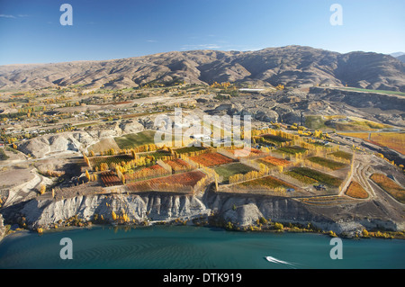 Frutteti e vigneti e del Lago Dunstan, Bannockburn, vicino a Cromwell di Central Otago, South Island, in Nuova Zelanda - aerial Foto Stock