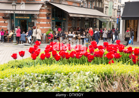 La Brasserie a Bruxelles con i tulipani che cresce su una rotatoria Foto Stock