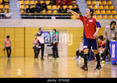 Saitama City Memorial palestra, Saitama in Giappone. 19 feb 2014. Daisuke Miyazaki (Osol), 19 febbraio 2014 - Pallamano : Giappone pallamano League 2013-2014 tra OSAKI OSOL 30-35 Daido Phenix a Saitama City Memorial palestra, Saitama in Giappone. Credito: AFLO SPORT/Alamy Live News Foto Stock