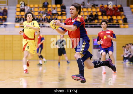 Saitama City Memorial palestra, Saitama in Giappone. 19 feb 2014. Daisuke Miyazaki (Osol), 19 febbraio 2014 - Pallamano : Giappone pallamano League 2013-2014 tra OSAKI OSOL 30-35 Daido Phenix a Saitama City Memorial palestra, Saitama in Giappone. Credito: AFLO SPORT/Alamy Live News Foto Stock