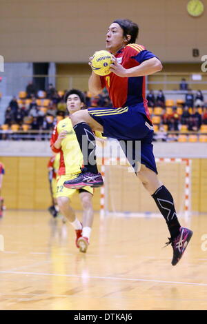 Saitama City Memorial palestra, Saitama in Giappone. 19 feb 2014. Daisuke Miyazaki (Osol), 19 febbraio 2014 - Pallamano : Giappone pallamano League 2013-2014 tra OSAKI OSOL 30-35 Daido Phenix a Saitama City Memorial palestra, Saitama in Giappone. Credito: AFLO SPORT/Alamy Live News Foto Stock