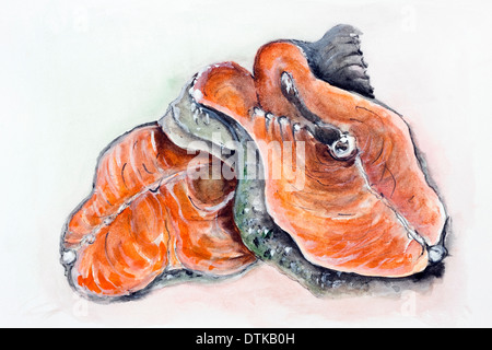 Materie di salmone tranci di pesce per la frittura. Acquarello dipinto a mano illustrazione su carta bianca Foto Stock