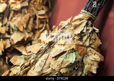 Primo piano della secca di ramoscelli di betulla, Russo sauna accessori Foto Stock