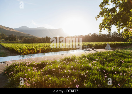 Giro di lusso piscina che si affaccia vigna e montagne Foto Stock