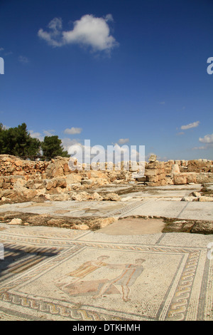 Israele, Bassa Galilea, il pavimento a mosaico in corrispondenza di una villa romana nel Zippori Foto Stock