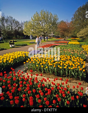 Esposizione di tulipani a Keukenhof anche noto come il giardino d'Europa, la più grande del mondo di Flower Garden Foto Stock