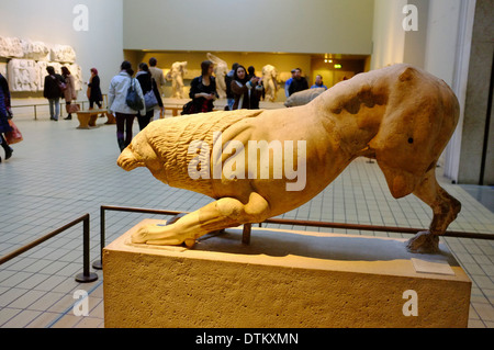 Marmi di Elgin/greca reperti romani presso il British Museum di Londra, Inghilterra Foto Stock