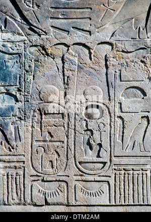 Colosses di Memnon:visualizzazione di un diritto Coloss a Kom el Hettan Luxor West Bank resti del tempio mortuario di Amenhotep III Foto Stock