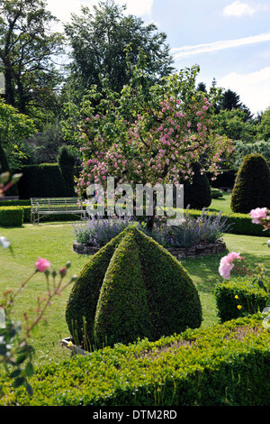 Topiaria da hedge nel giardino privato nel piccolo villaggio di nunney, somerset, un giardino inglese nelle zone rurali del Somerset Foto Stock