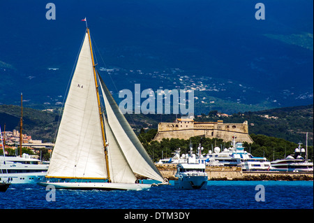 L'Europa, Francia, Alpes-Maritimes, Antibes. Les Voiles d'Antibes. Vecchia regata a vela raccolta, yachting trophy Paneira. Foto Stock