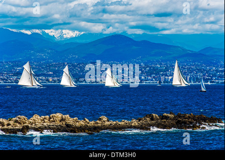 L'Europa, Francia, Alpes-Maritimes, Antibes. Les Voiles d'Antibes. Vecchia regata a vela raccolta, yachting trophy Paneira. Foto Stock