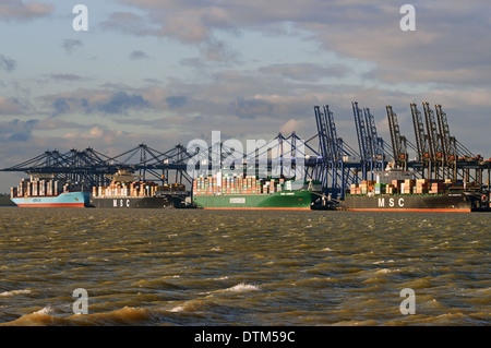 Le navi portacontainer, Trinità Quay, porto di Felixstowe, Suffolk, Regno Unito. Foto Stock