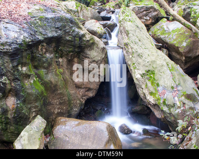 Una piccola cascata su un torrente di montagna in MOunt Pelion, Grecia Foto Stock