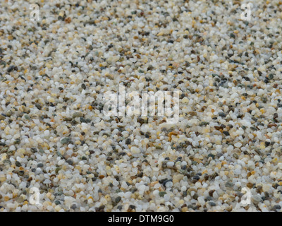 Piccoli ciottoli su una spiaggia Foto Stock