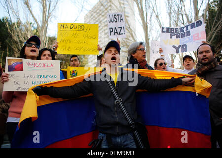 Madrid, Spagna. 19 feb 2014. I manifestanti gridare slogan, display banner e bandiere venezuelano durante una manifestazione di protesta contro il governo venezuelano in Madrid. Un centinaio di cittadini venezuelani e membri delle nuove generazioni del partito Popolare (PP), (NNGG) raccolte al di fuori dell'Ambasciata del Venezuela in Madrid adducendo ""democrazia, libertà e sicurezza" a quel paese, facendo riferimento alla serie di proteste contro Maduro il governo che è diventata violenta e provocato tre morti la settimana scorsa e continuare dopo 6 giorni nel paese Sud Americano. Credito: ZUMA Press, Inc./Alamy Live News Foto Stock