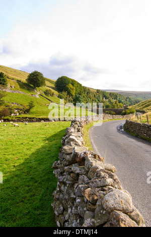 Dighe di pietra e i pascoli in Yorkshire Dales Foto Stock
