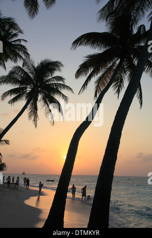 Maldive, Isola di Maafushi, tramonto, palme, spiaggia, Foto Stock