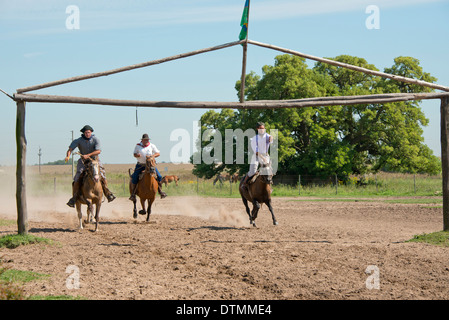 Argentina, Buenos Aires, Estancia Santa Susana. Tradizionale argentino Gauchos di eseguire in una gara di concorso di equitazione. Foto Stock